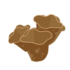 Coral illustration 