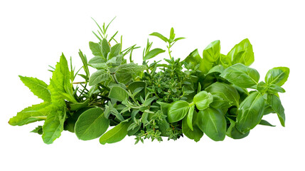 Fresh mediterranean herbs isolated on transparent background. Basil, oregano, rosemary, thyme, parsley, mint. - obrazy, fototapety, plakaty