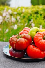 Bowl of colorful heirloom tomatoes in Provence, France