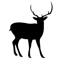Reindeer Silhouette
