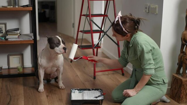 Slow motion. A pregnant woman, sitting on the floor on her knees, dips a paint roller in white paint and gives it to the dog sitting next to her to smell it
