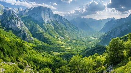 Fototapeta premium Majestic Mountain Landscape with Lush Green Valley, Panoramic Nature View