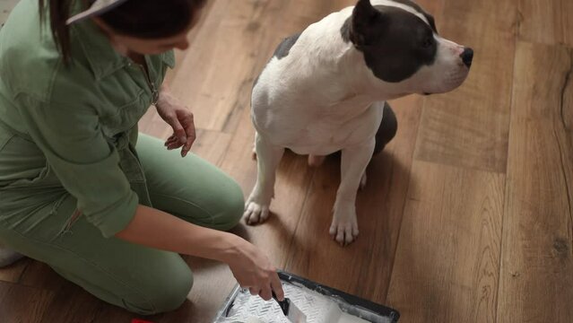 Slow motion. A woman, sitting on her knees on the floor, plays with a dog with a paint brush, touching the dog nose with it