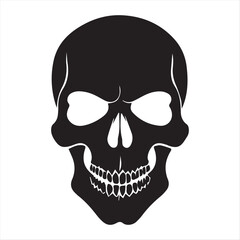 Skull , human skull , pirate skull ,  Human skull illustration logo