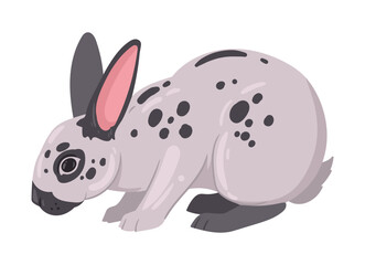 Spring fluffy rabbit. Cute Easter domestic bunny, fluffy eared animal, little bunny flat vector illustration. Cartoon Easter holiday rabbit on white