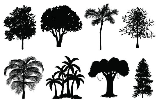 Vector Illustration of Diverse Tree Silhouettes, Nature's Diversity in Silhouette form, palm and other trees silhouette