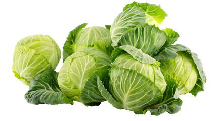 Green cabbage collection isolated on a white background, vegetable bundle