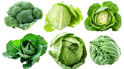 Green cabbage collection isolated on a white background, vegetable bundle - obrazy, fototapety, plakaty