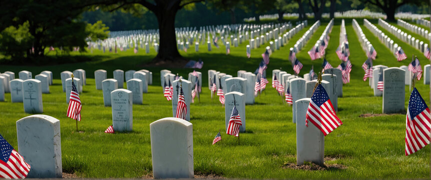  Small American flags and headstones at National cemetary- Memorial Day display Memorial or Veterans Day, 4 July, independence day, labor day