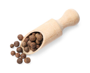 Dry allspice berries (Jamaica pepper) in scoop isolated on white, top view