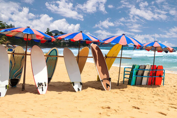 Surfboards and bodyboards under umbrellas
