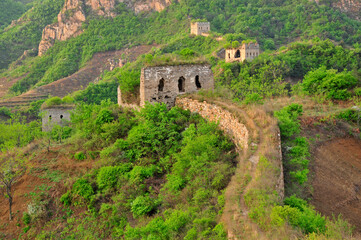 Fototapeta na wymiar Ancient ecological wall, north China, elm ridge, the Great Wall