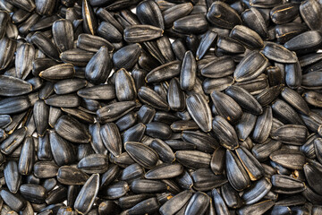 background of sunflower seeds