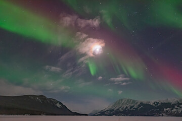 Northern lights aurora seen outside of Whitehorse in Yukon Territory, Canada