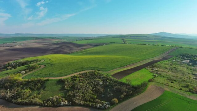 Aerial view of amazing green wavy hills with agricultural fields in spring. South Moravia region, Czech Republic, Europe, 4k