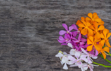 Orange, pink and white orchids on a wooden surface