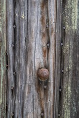 wood texture