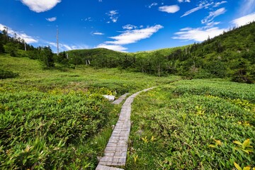 北アルプスの木道