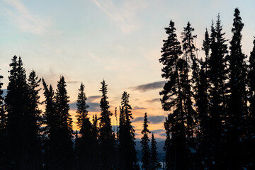 Amazing pink, orange bright pastel sunset over forest sky in northern Canada in panoramic scenic view.