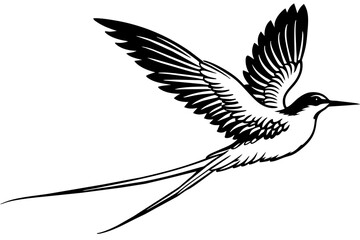 tropicbird silhouette vector illustration