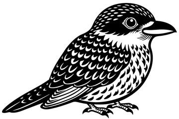 puffbird silhouette vector illustration