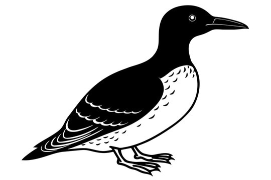 recommend clip art: guillemot silhouette vector illustration