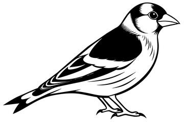 goldfinch silhouette vector illustration
