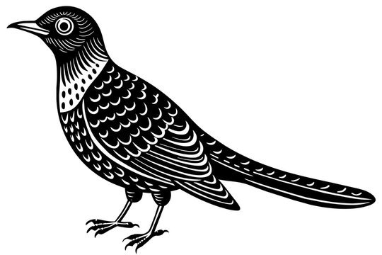 recommend clip art: cuckoo silhouette vector illustration