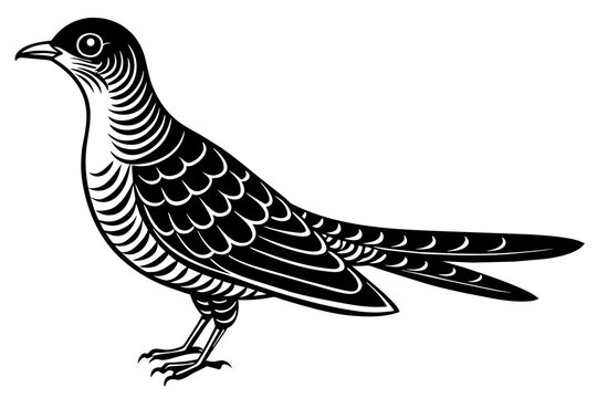 recommend clip art: cuckoo silhouette vector illustration