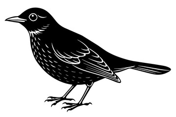 blackbird silhouette vector illustration