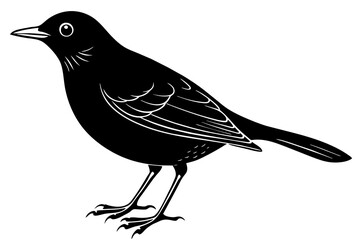blackbird silhouette vector illustration - obrazy, fototapety, plakaty