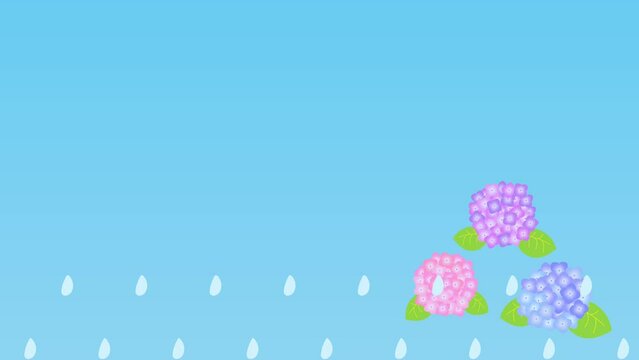 紫陽花と雨が上がり青空になるアニメーション