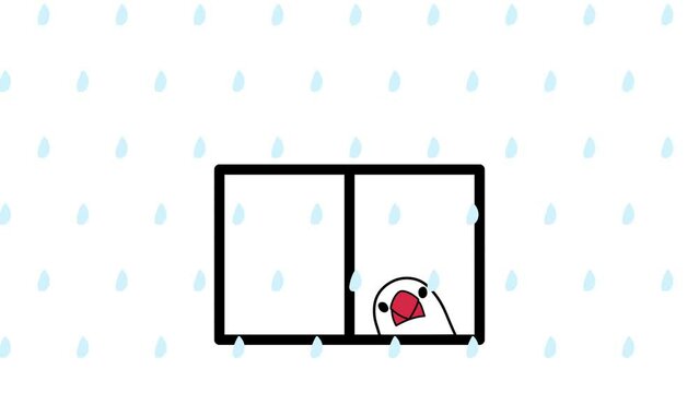 窓から雨を眺める文鳥のアニメーション