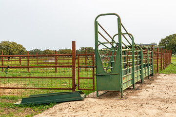 Handling Cattle: Corral with Treatment Alley.