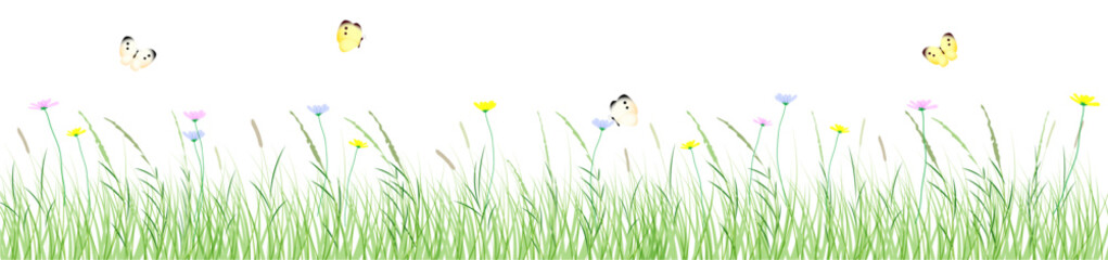 Flowers and grass border, vector illustration, early spring flowers　春の草むらと花とちょうちょのイラスト © erink stock