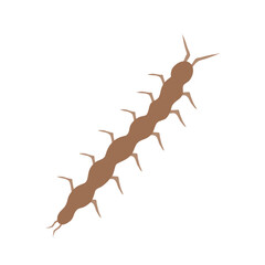 Vektor Cartoon set of Centipedes