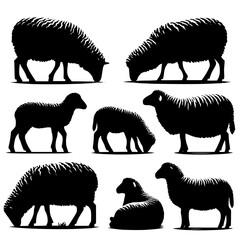 Set of silhouette of Sheep