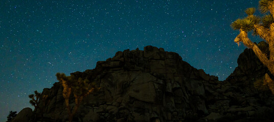 Desert with a sky view of stars.