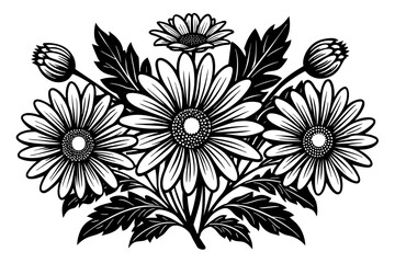 chamomile--illustrations-of-daisy-flowers