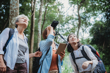 woman family walking in the forest to watching a bird in nature, using binocular for birding by looking on a tree, adventure travel activity in outdoor trekking lifestyle, searching wildlife in jungle - obrazy, fototapety, plakaty