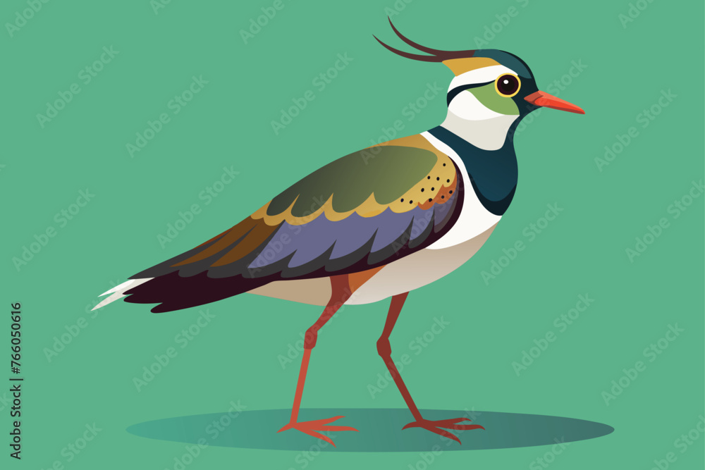 Wall mural draw-a-lapwing-bird illus.eps