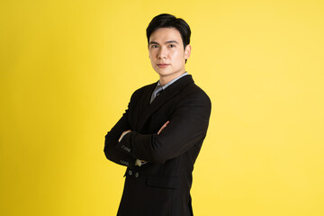 Obraz na płótnie Canvas Portrait of Asian male businessman. wearing a suit and posing on a yellow background