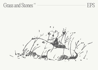 Hand drawn vector illustration of grass and rocks on blank backdrop. Isolated sketch.
