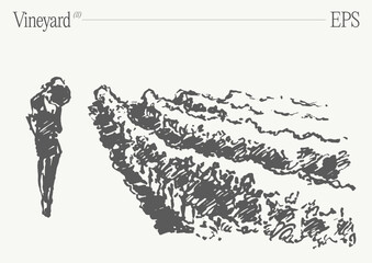 Vineyard Landscape. Vintage wine Label Background. Hand drawn vector illustration, sketch. - 766056298