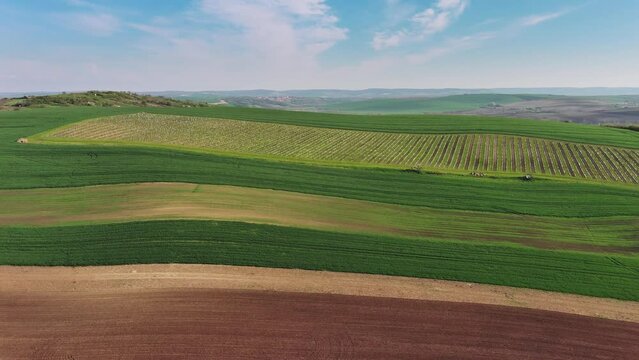 Aerial view of amazing green wavy hills with agricultural fields in spring. South Moravia region, Czech Republic, Europe, panorama 4k