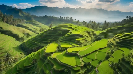 Fototapeten aerial view of green rice field terraces with clean sky and rural vibes © HeyKun