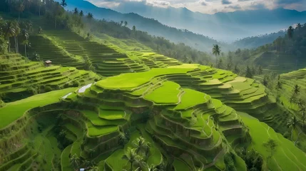 Tafelkleed aerial view of green rice field terraces with clean sky and rural vibes © HeyKun
