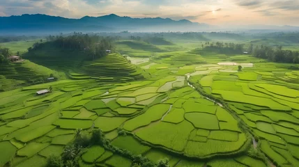 Wandaufkleber aerial view of green rice fields with clean sky and rural vibes © HeyKun