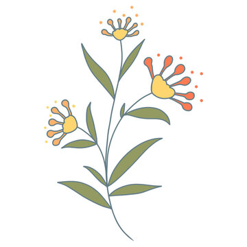 Hand Drawn Floral Botanical Branches Icon. Isolated on White Background. Vector Illustration.