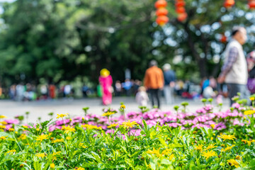 People playing in the spring park
